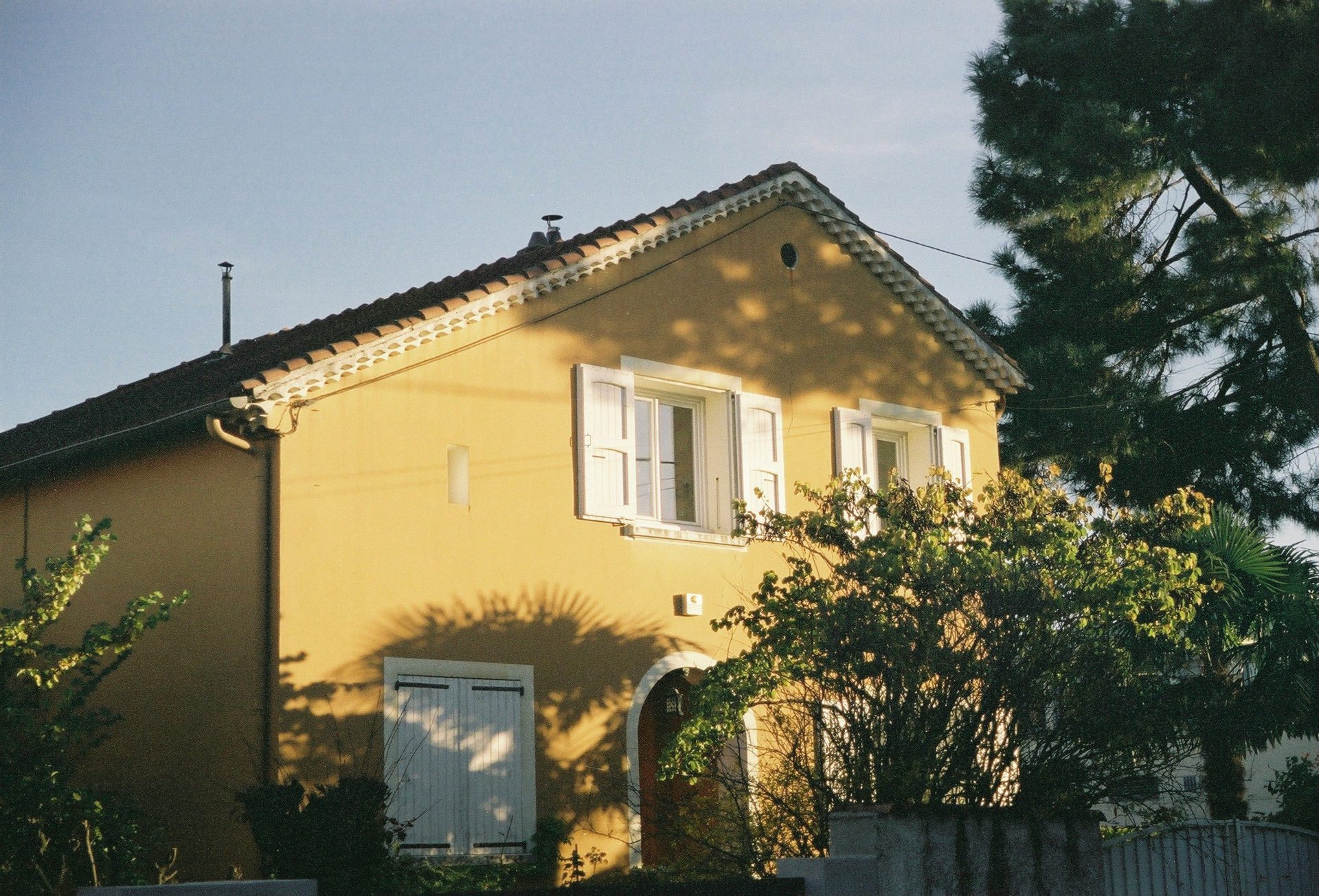 a yellow house with white shutters and a tree in front of it